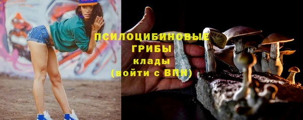 ALPHA-PVP Богданович